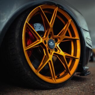 FORZZA OREGON Golden Amber