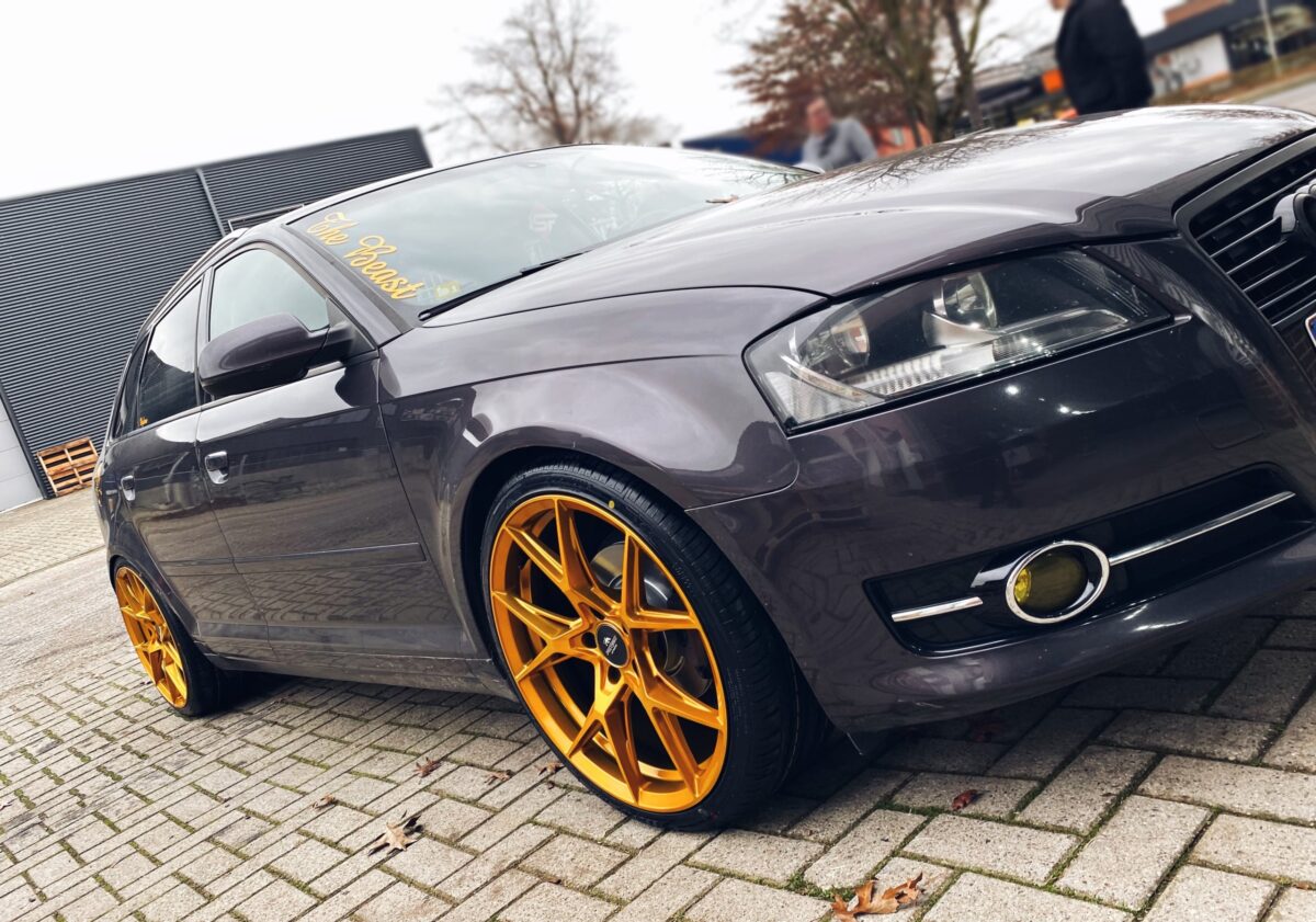 FORZZA OREGON Golden Amber