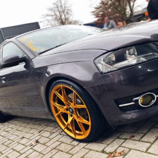 FORZZA OREGON Golden Amber