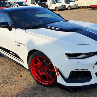 FORZZA OREGON Candy Red