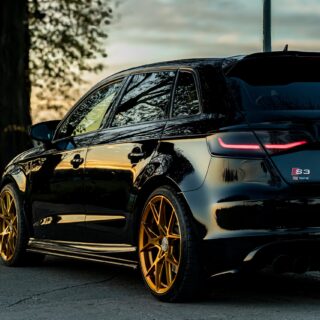 FORZZA OREGON Golden Amber