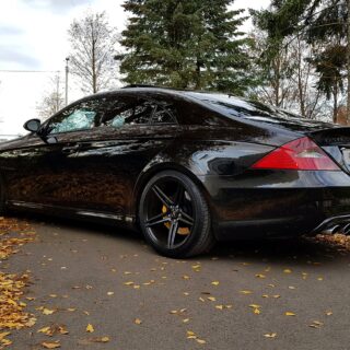 FORZZA BOSAN Satin Black